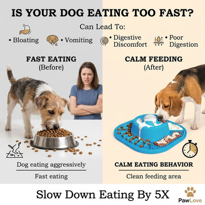 PawLove™ Dynamic Lick-Control Slow Feeder Bowl