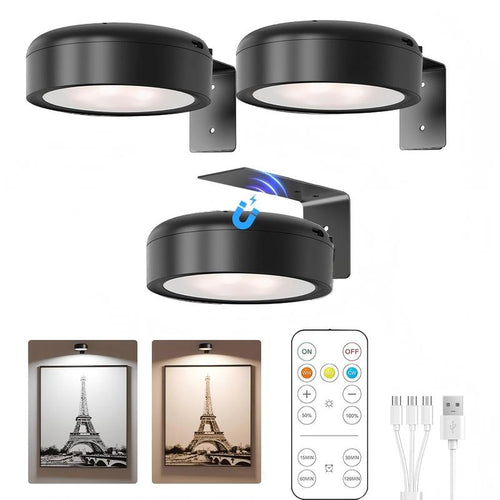 LumiFrame™ Gallery Lights