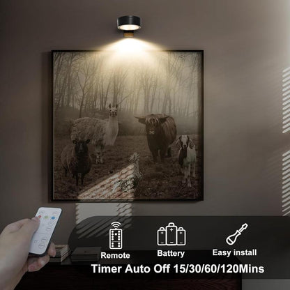 LumiFrame™ Gallery Lights